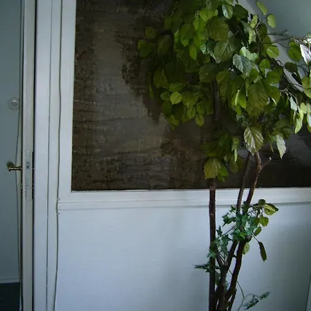 Apartment Ferienwohnung Am Olsbach *